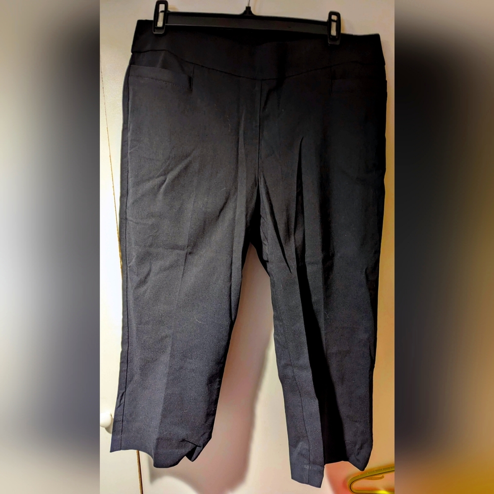 Briggs NY capri dress pants - size 10 BNWT